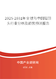 2025-2031年全球與中國鉬頂頭行業(yè)分析及趨勢預測報告