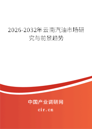 2026-2032年云南汽油市場(chǎng)研究與前景趨勢(shì)