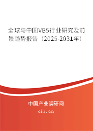 全球與中國VB5行業(yè)研究及前景趨勢(shì)報(bào)告（2025-2031年）