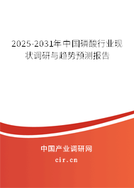 2025-2031年中國磷酸行業(yè)現(xiàn)狀調(diào)研與趨勢預(yù)測報(bào)告