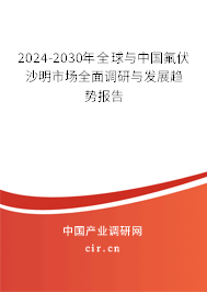 2024-2030年全球與中國氟伏沙明市場全面調研與發(fā)展趨勢報告