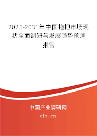 2025-2031年中國(guó)拖把市場(chǎng)現(xiàn)狀全面調(diào)研與發(fā)展趨勢(shì)預(yù)測(cè)報(bào)告