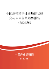 中國皮帶秤行業(yè)市場現(xiàn)狀研究與未來前景趨勢報告（2026年）