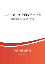2025-2031年中國安防市場深度調研與發(fā)展趨勢