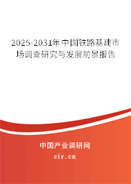 2025-2031年中國鐵路基建市場調(diào)查研究與發(fā)展前景報(bào)告