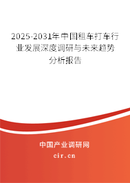 2025-2031年中國租車打車行業(yè)發(fā)展深度調(diào)研與未來趨勢分析報告