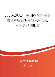 2025-2031年中國(guó)物聯(lián)網(wǎng)能源管理系統(tǒng)行業(yè)市場(chǎng)調(diào)研與前景趨勢(shì)預(yù)測(cè)報(bào)告