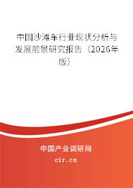 中國沙灘車行業(yè)現(xiàn)狀分析與發(fā)展前景研究報(bào)告（2026年版）