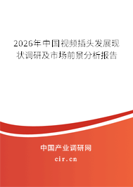 2026年中國視頻插頭發(fā)展現(xiàn)狀調研及市場前景分析報告