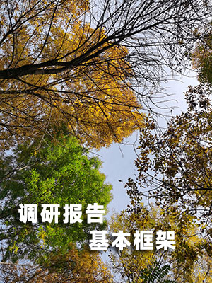 調(diào)研報(bào)告的基本框架